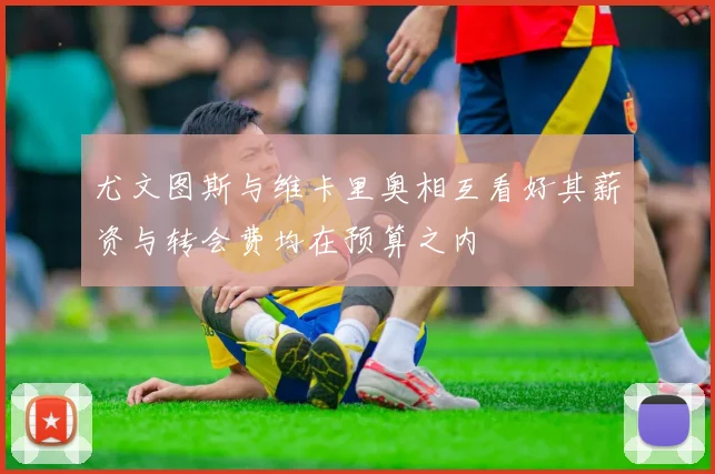 尤文图斯与维卡里奥相互看好其薪资与转会费均在预算之内
