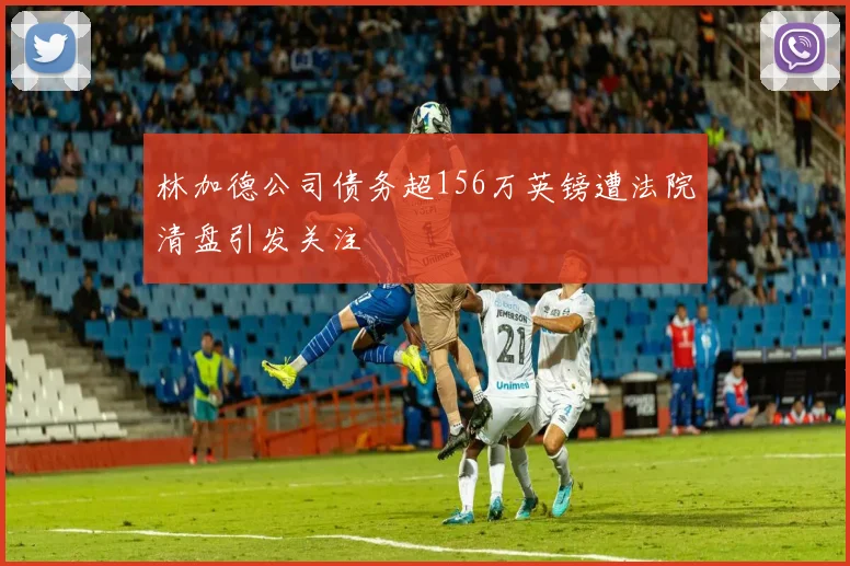 林加德公司债务超156万英镑遭法院清盘引发关注