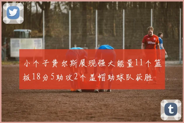 小个子费尔斯展现强大能量11个篮板18分5助攻2个盖帽助球队获胜